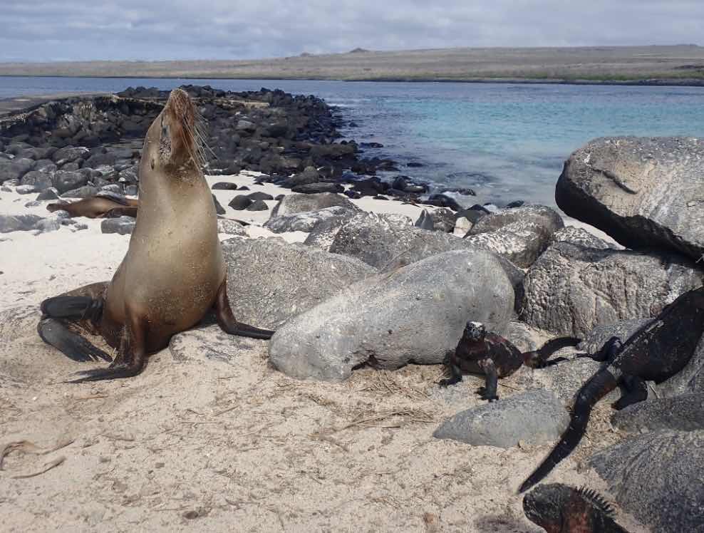 GALAPAGOS TRAILS Travel Agency photo 6