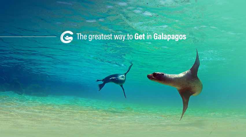 GALAPAGOS TRAILS Travel Agency photo 8