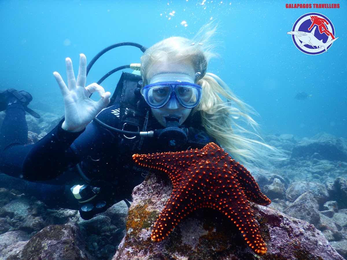 GALAPAGOS TRAILS Travel Agency photo 9