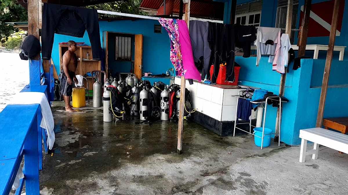 AMBON BLUE ROSE DIVERS photo 10