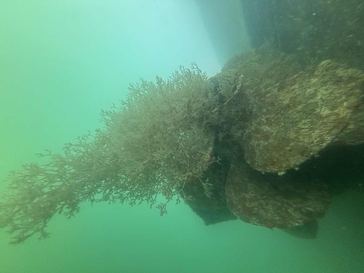 Zerodrag Diving photo 5