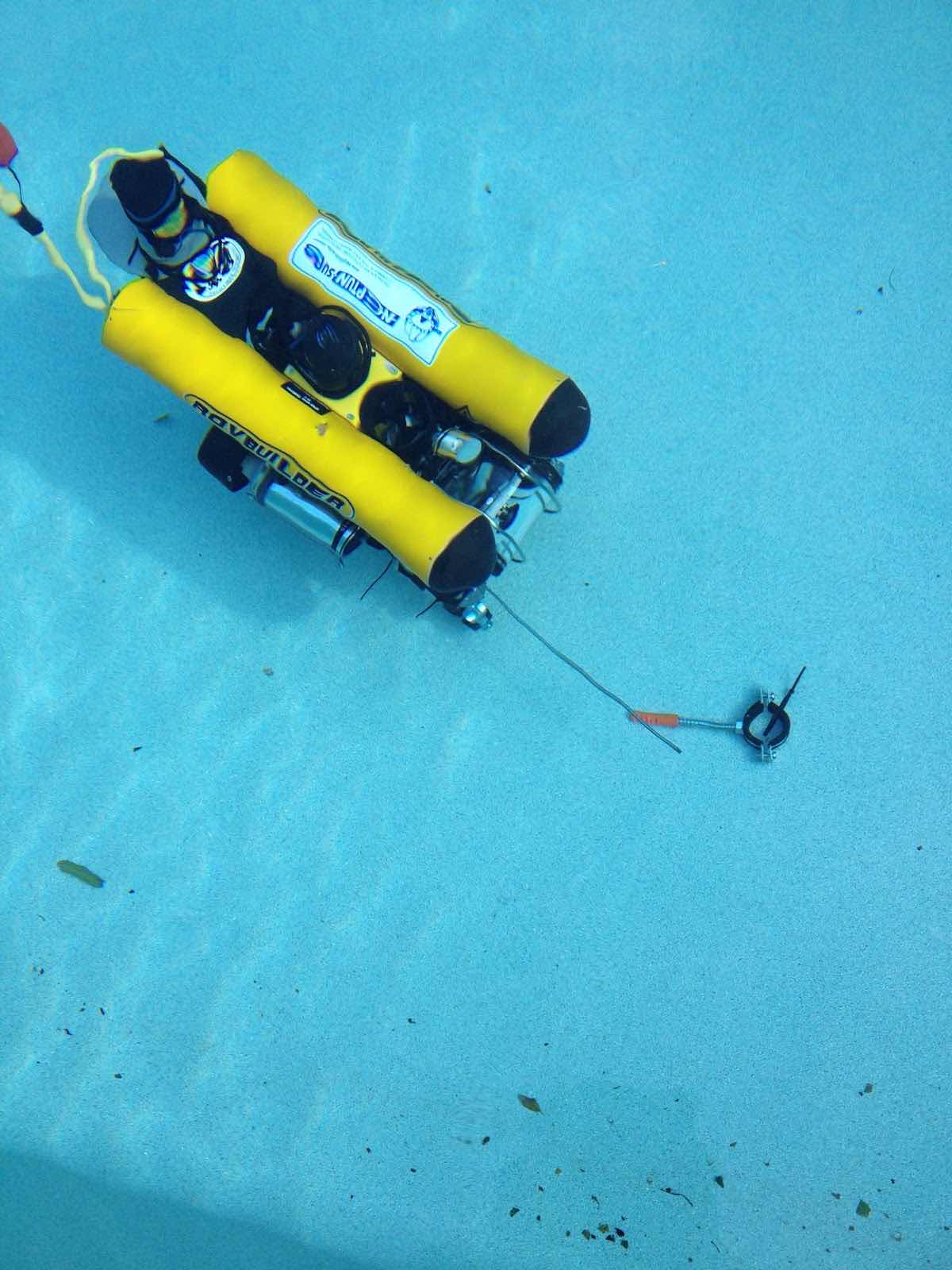 DIVING CENTER MEDITERRANEO - SUB photo 4