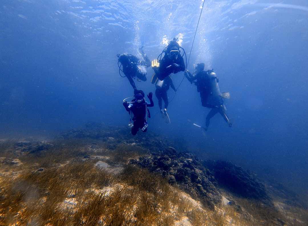SCUBA LIFE in CEBU photo 1
