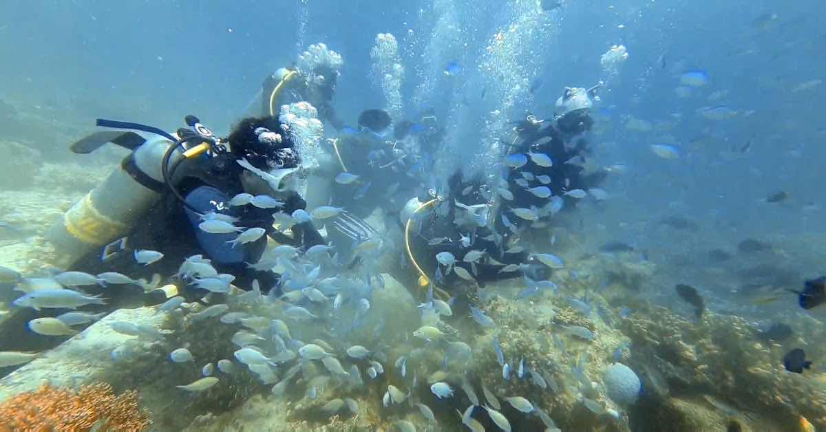 SCUBA LIFE in CEBU photo 5