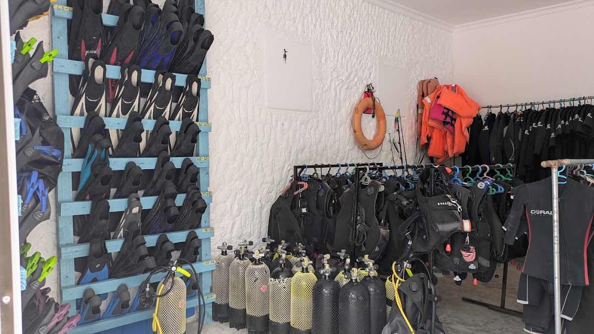 Pemba Dive Center photo 6