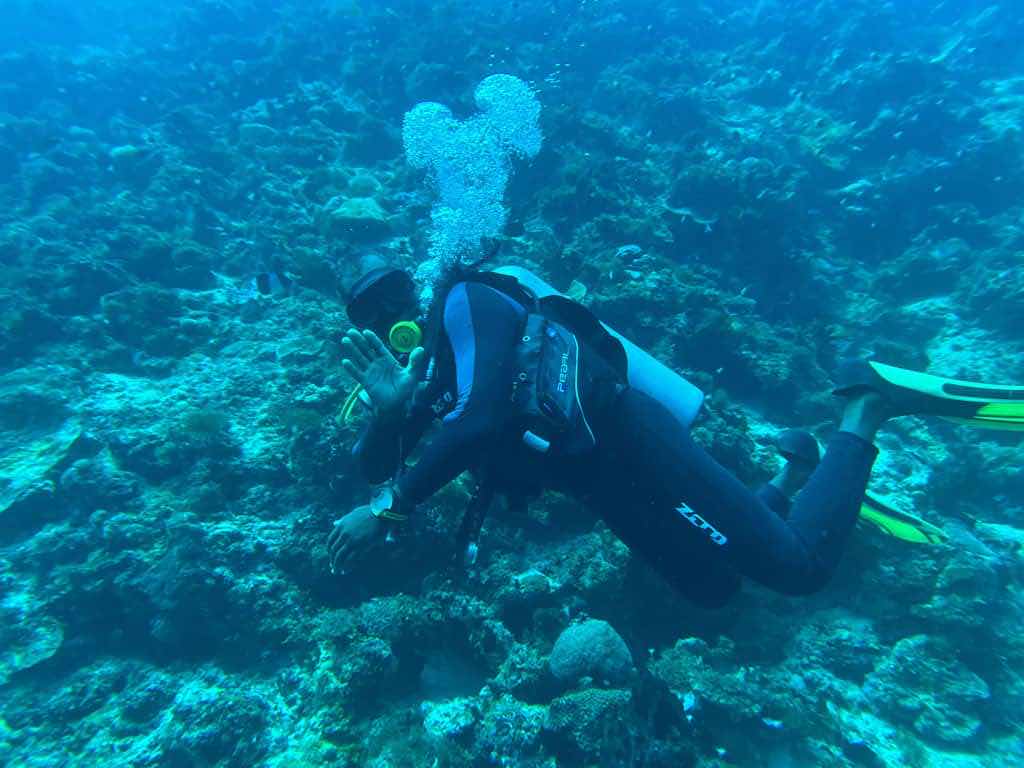 Pemba Dive Center photo 7