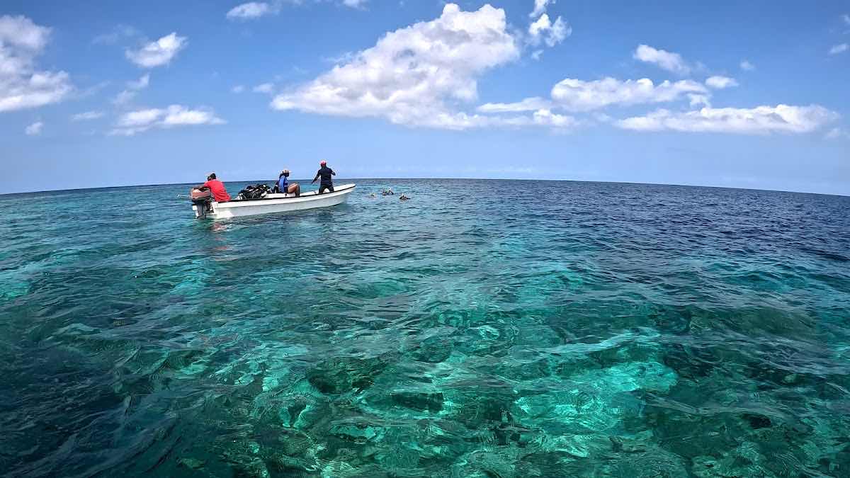 Pemba Dive Center photo 8