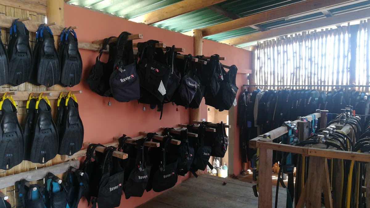 Barra Reef Divers photo 1