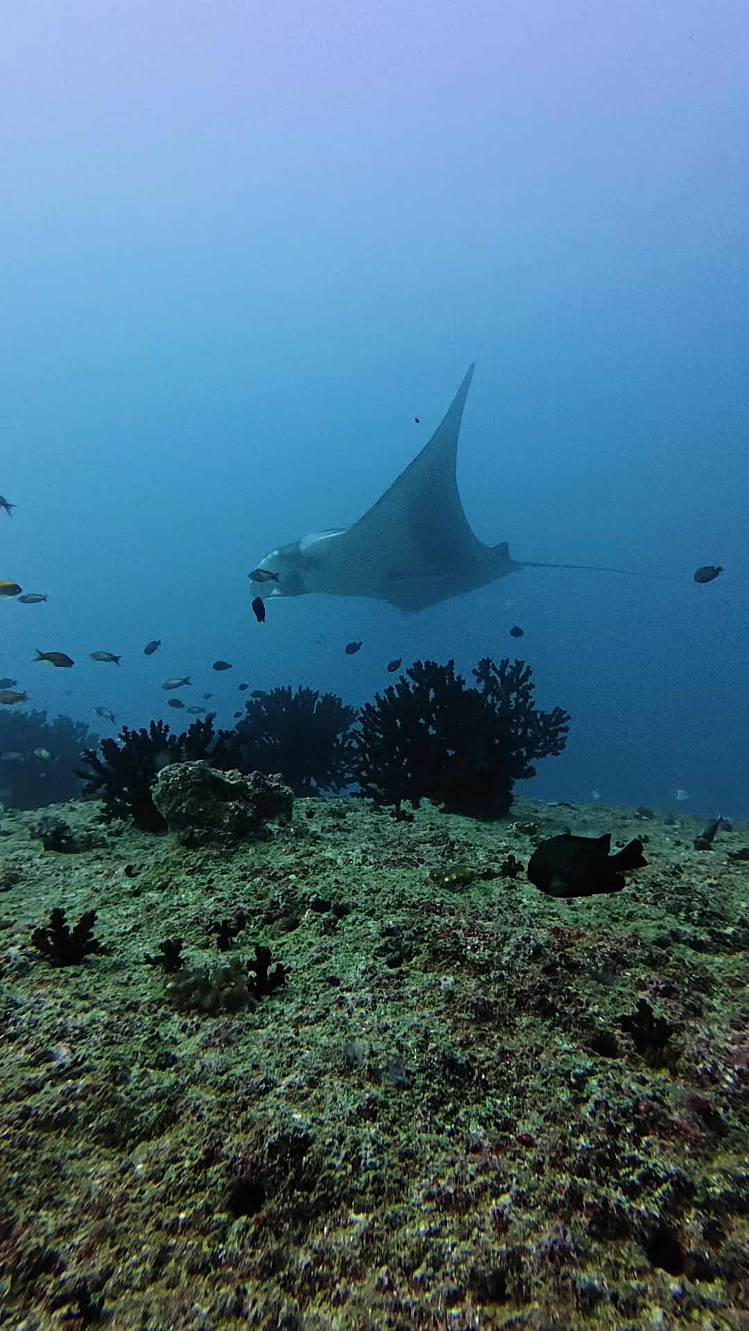 Tofo Scuba photo 3