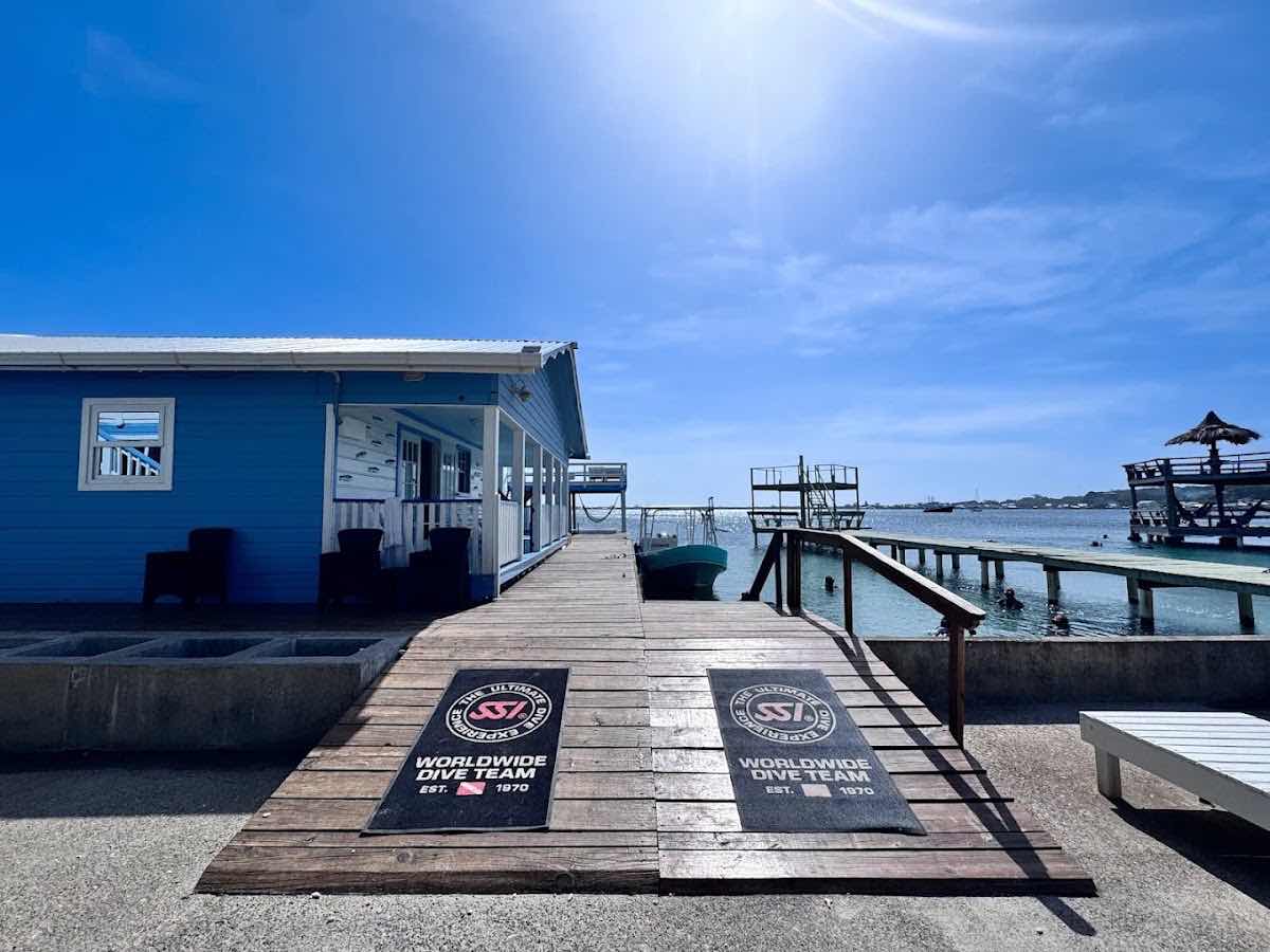 Tank'd Pro Dive Center photo 1