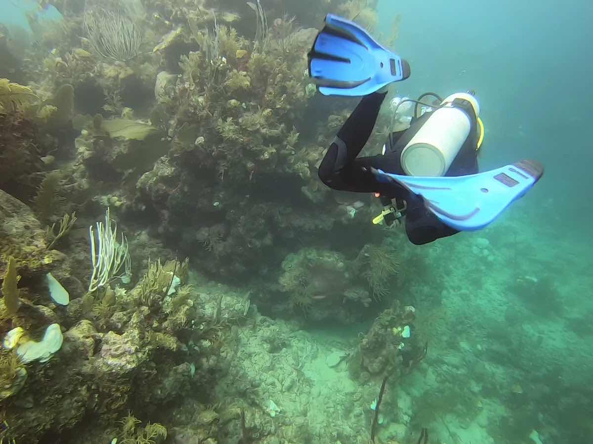 Tank'd Pro Dive Center photo 3