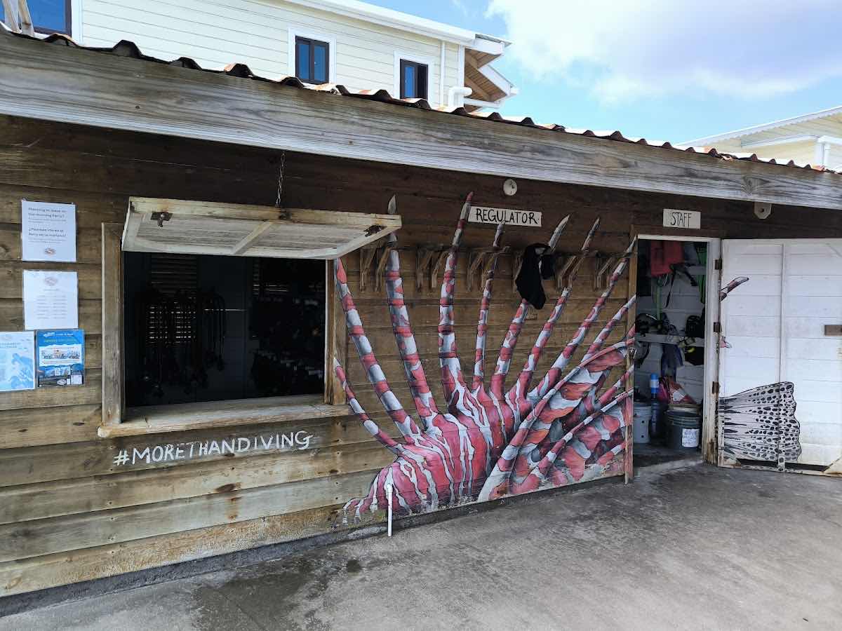 Tank'd Pro Dive Center photo 8