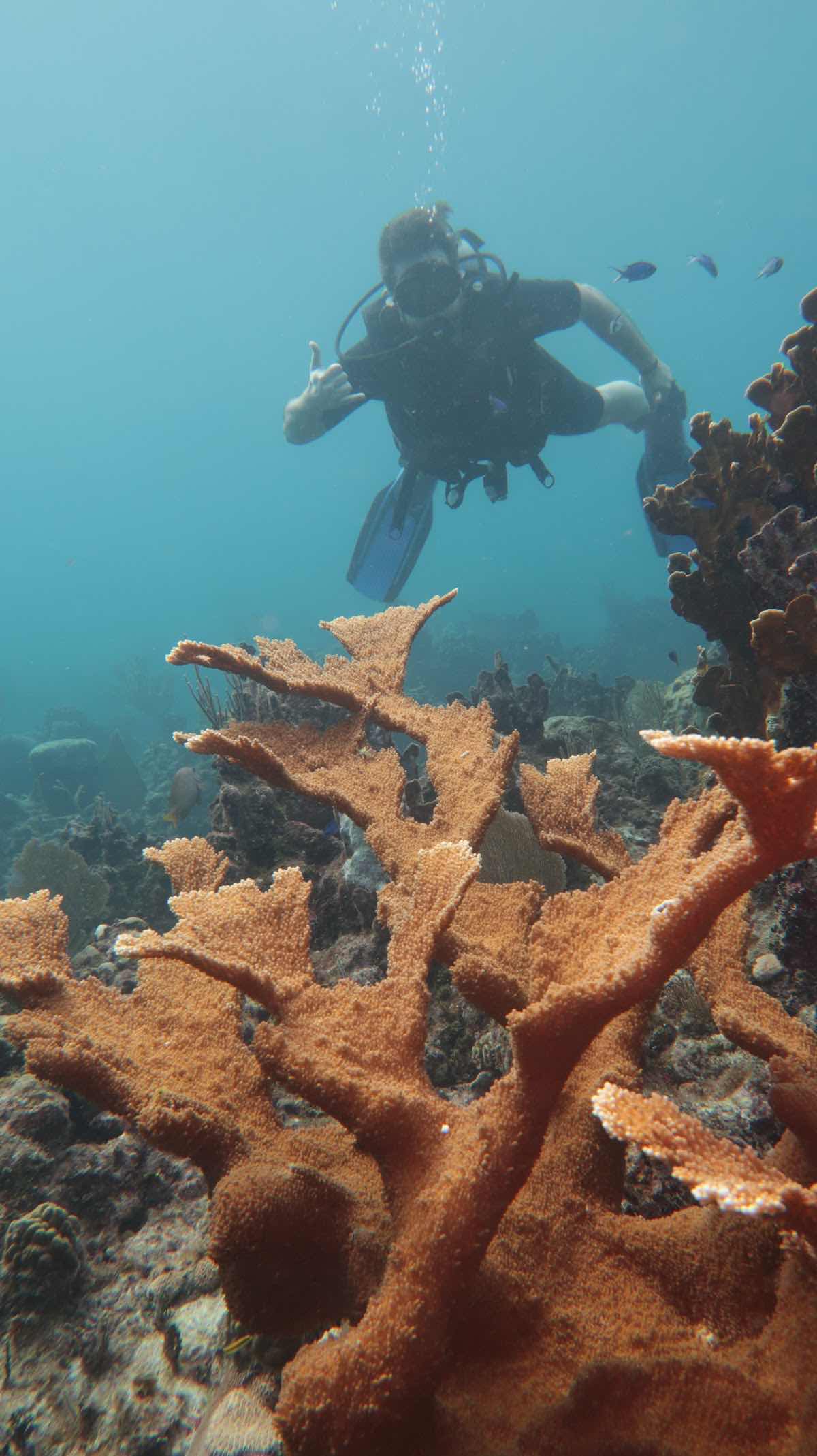 Scuba Vida Varadero photo 1