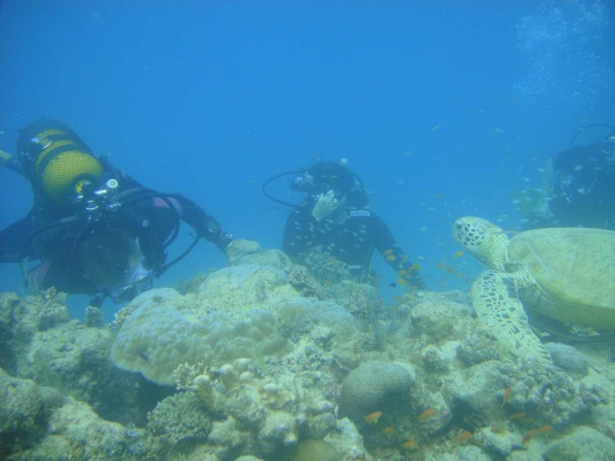 Le Lagon Maoré photo 1