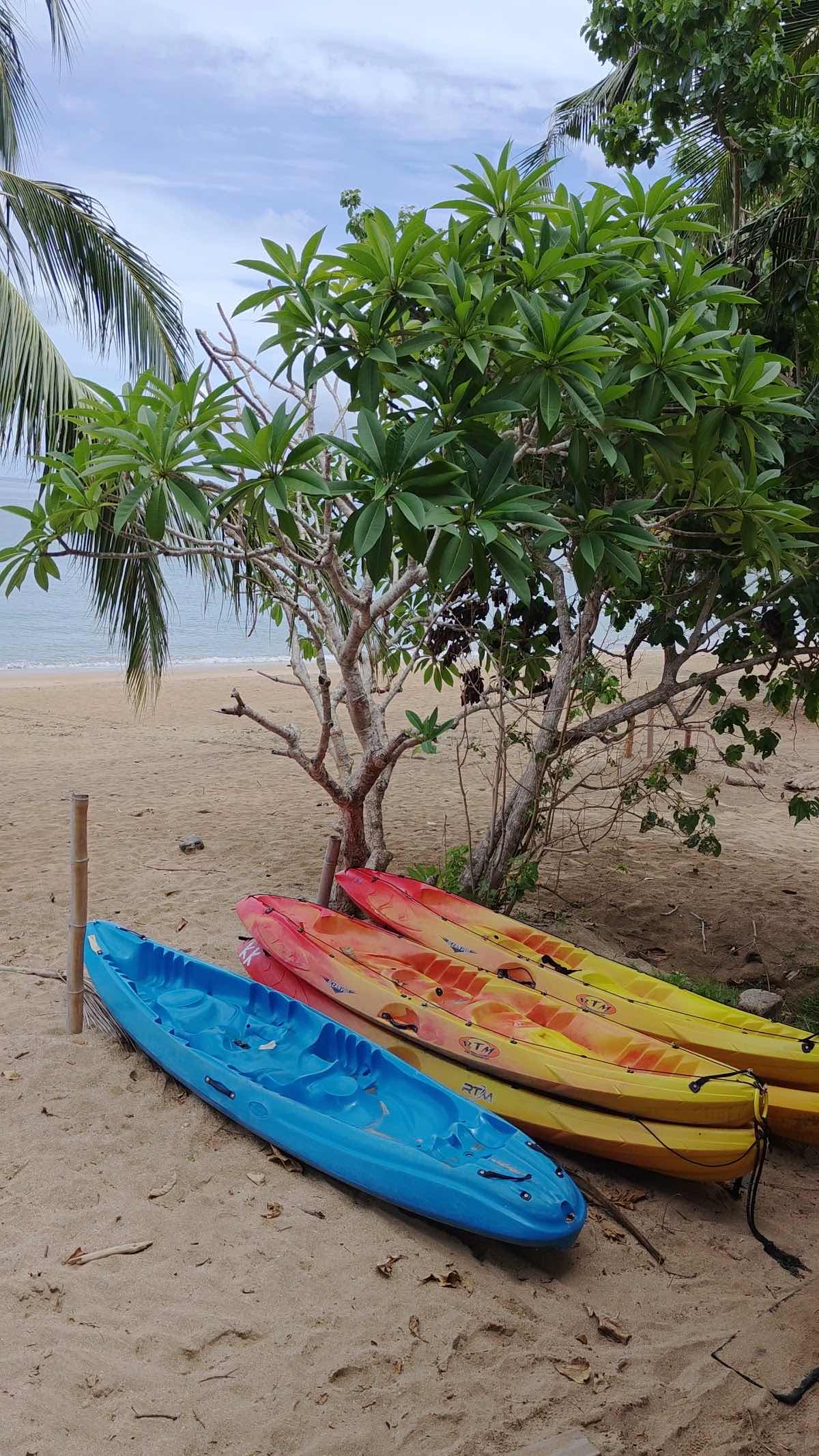 Le Lagon Maoré photo 3