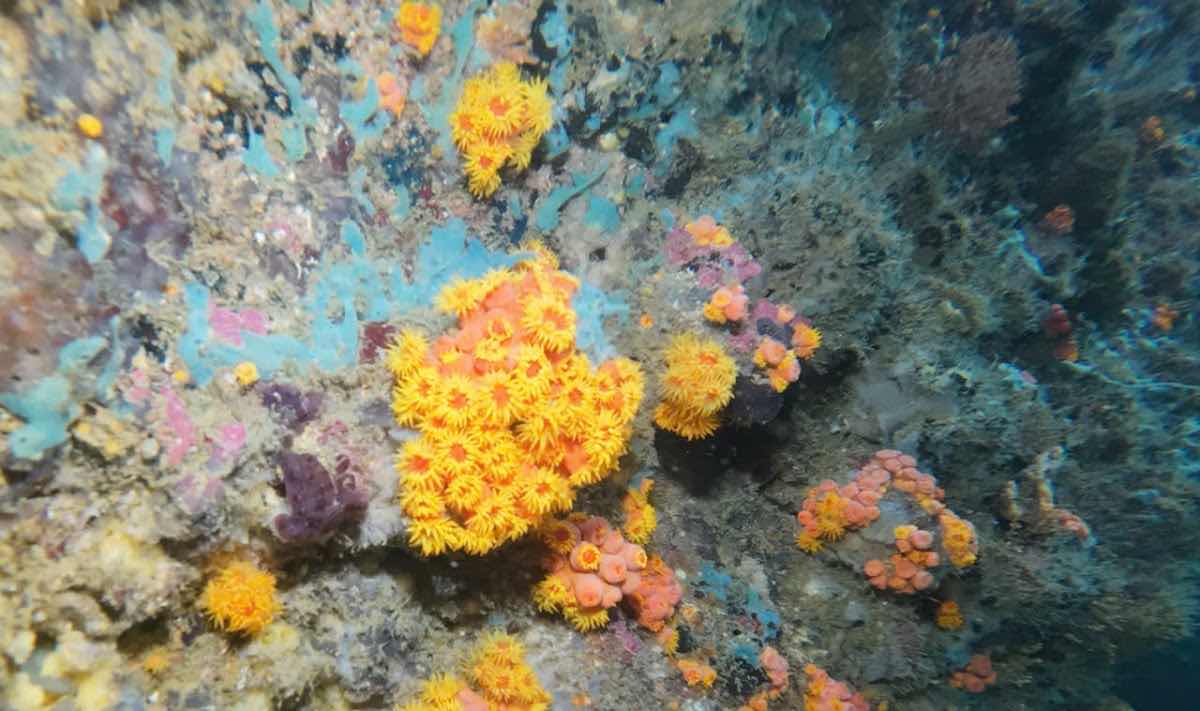 Dive Zone Center photo 1