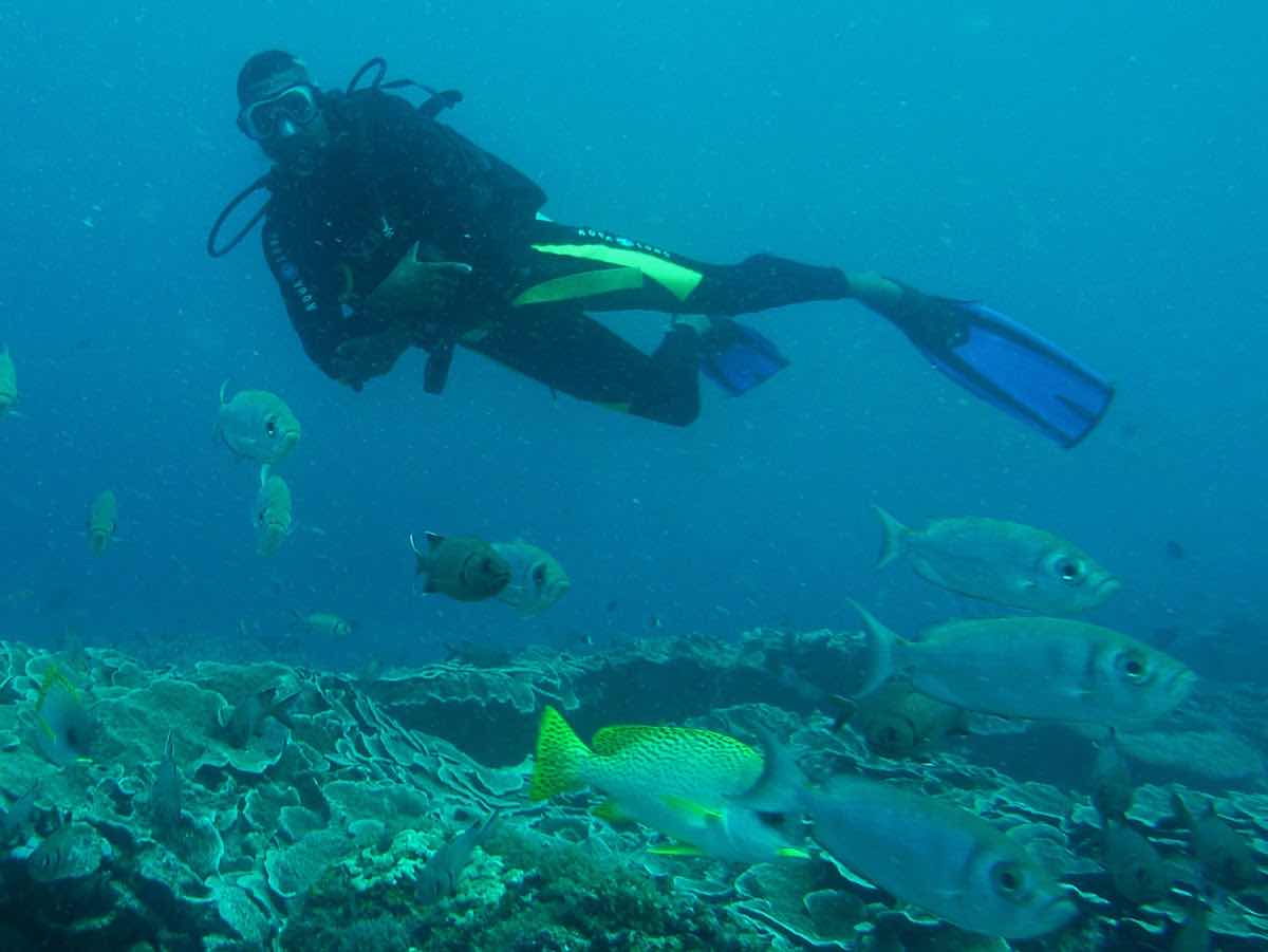 Kangaroo Divers photo 2