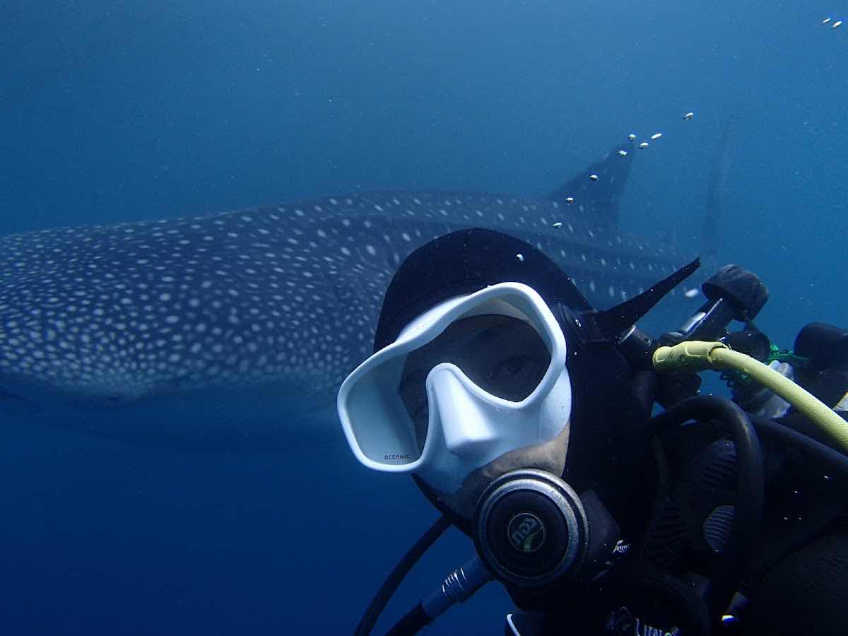 妻良DIVING photo 3