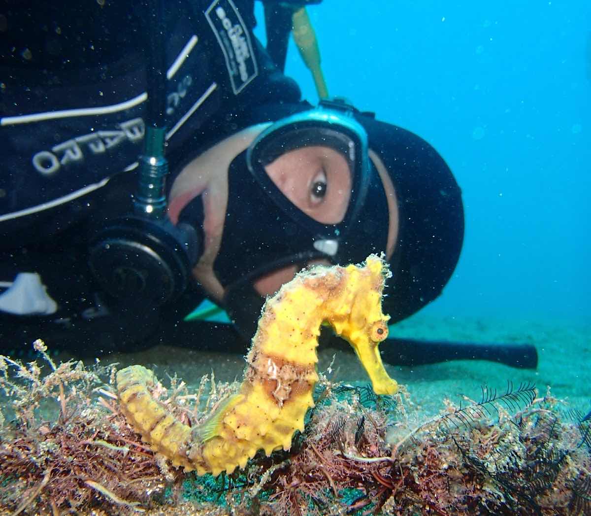 妻良DIVING photo 10