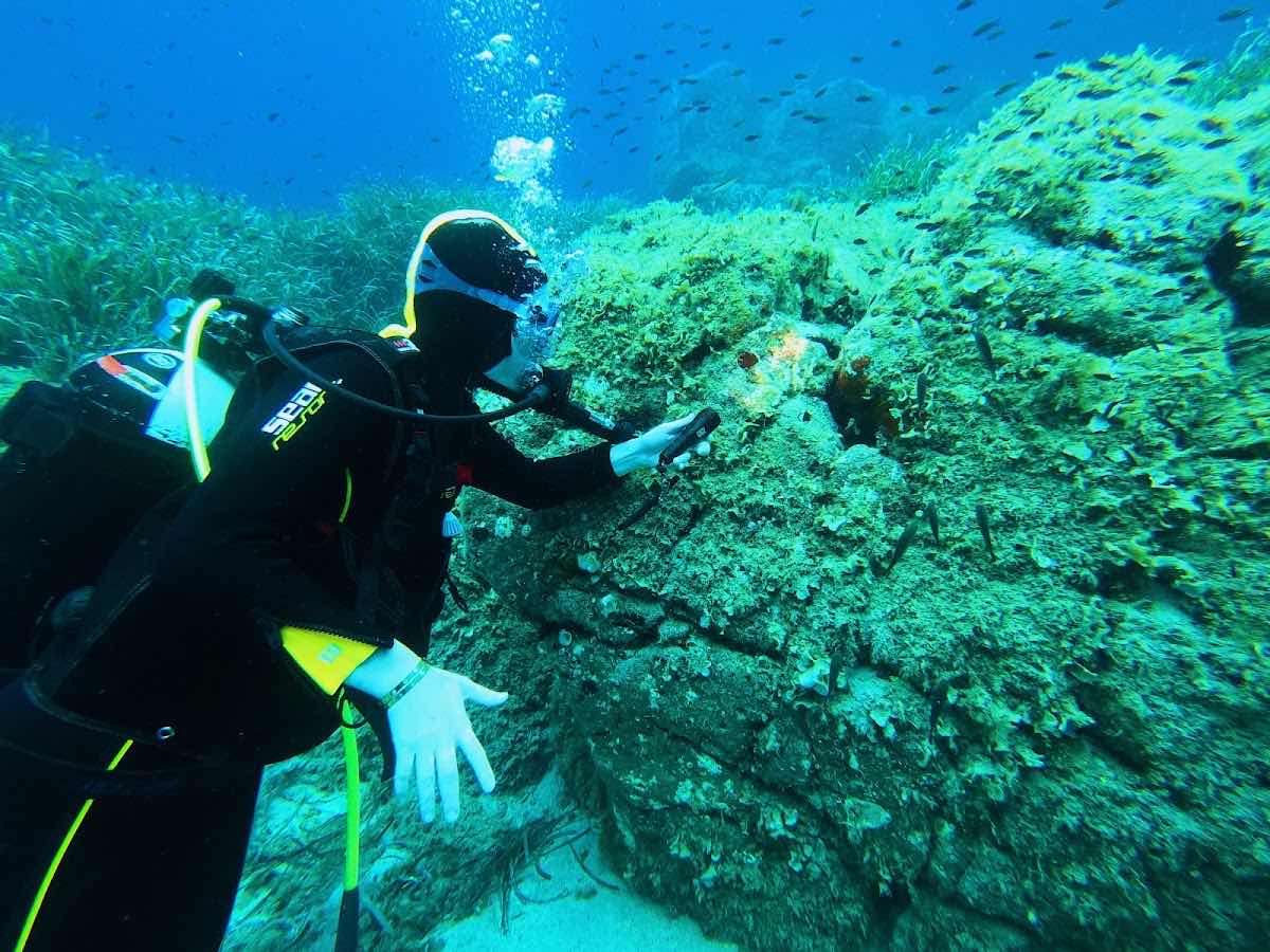 Diving Coral Reef photo 3
