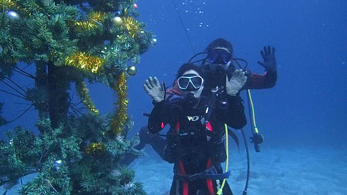 Diving Instructor Center Izu photo 2