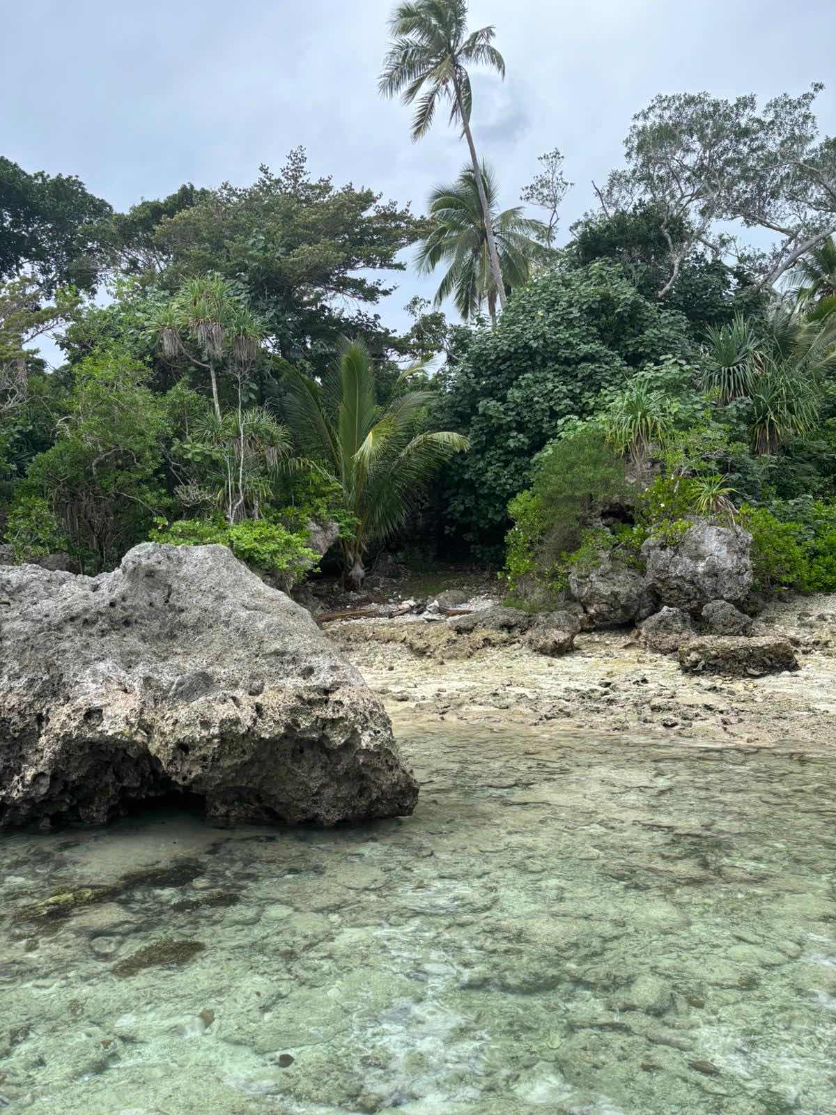 Lagoon Safaris photo 3