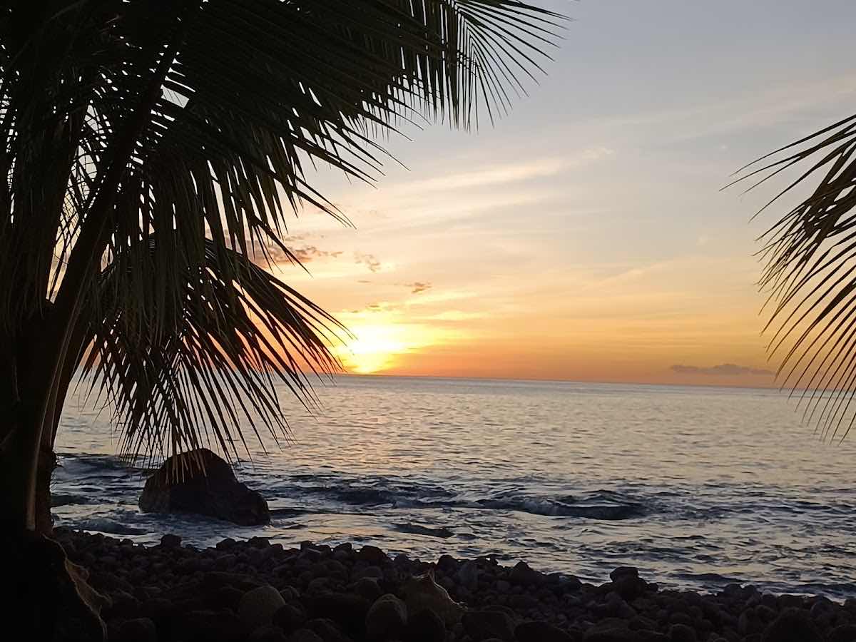 Nature Island Dive photo 8