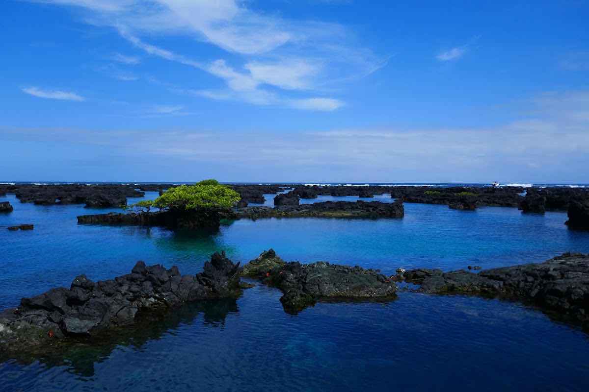 Galápagos Wayra Adventure photo 4