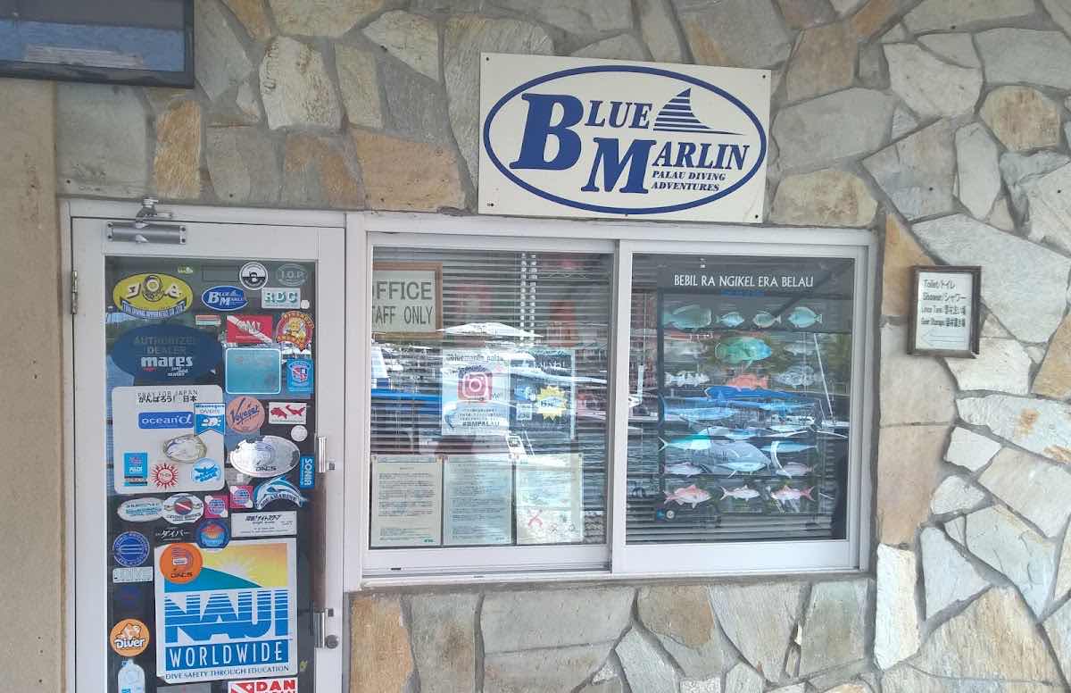 Blue Marlin photo 4