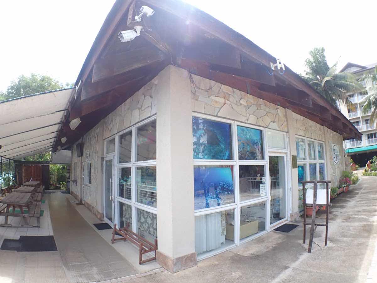 Blue Marlin photo 6