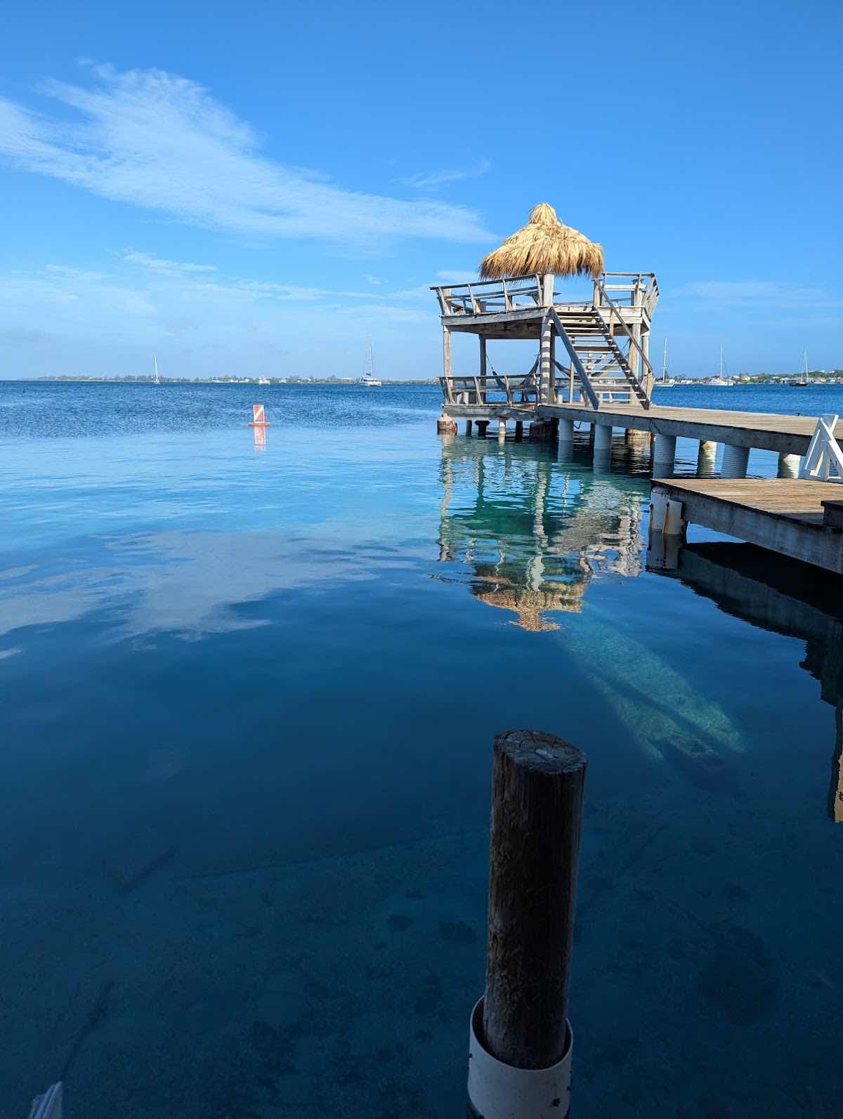 Alton's Dive Center photo 9