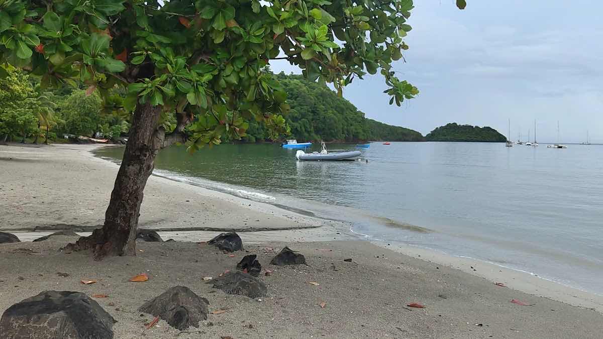 Martinique Plongée photo 3