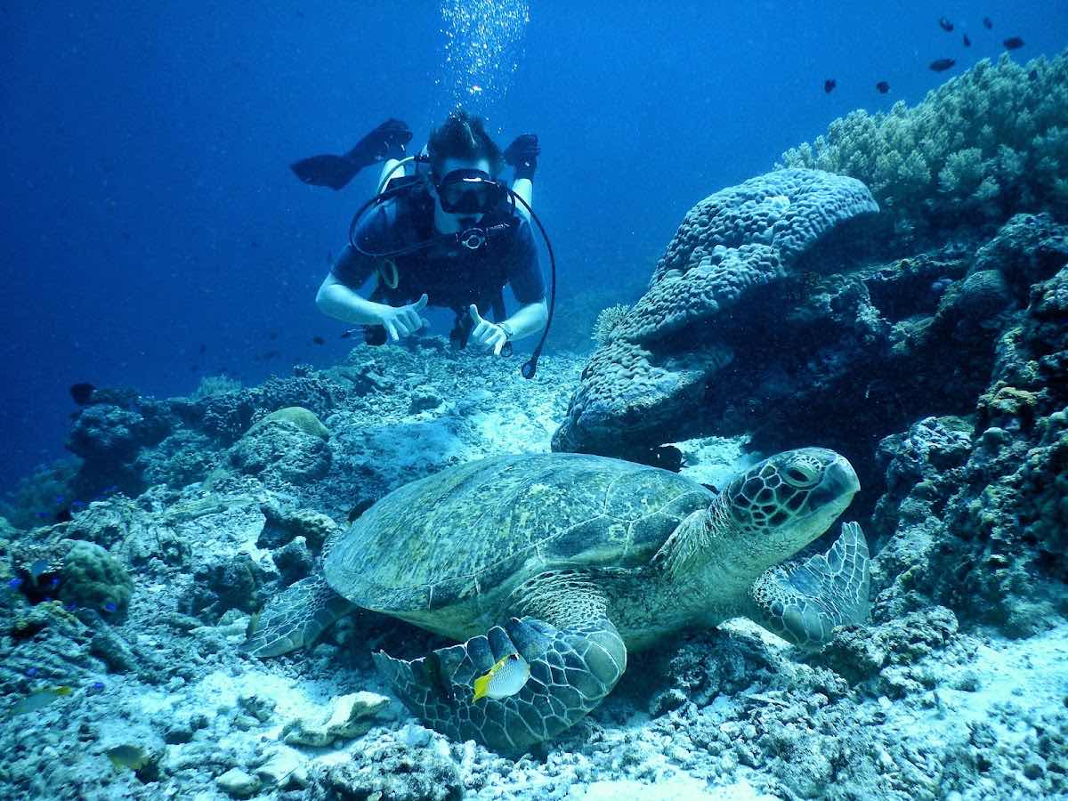 Scotty's Action Sports Network Bohol photo 1