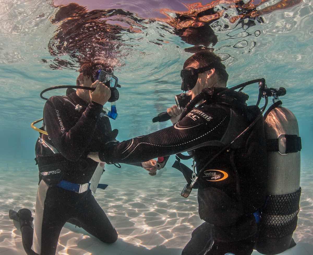 Scotty's Action Sports Network Bohol photo 2