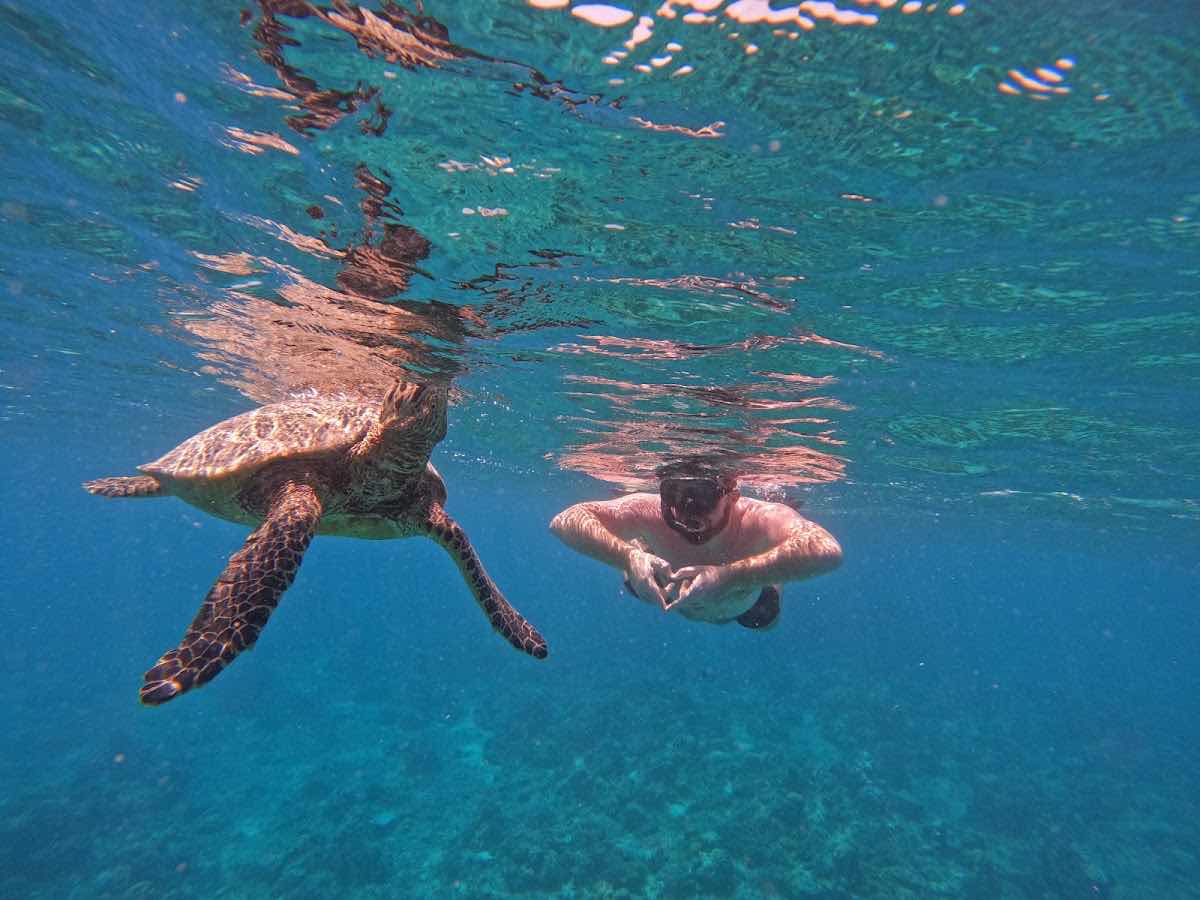 Snorkeling trip and tours photo 1