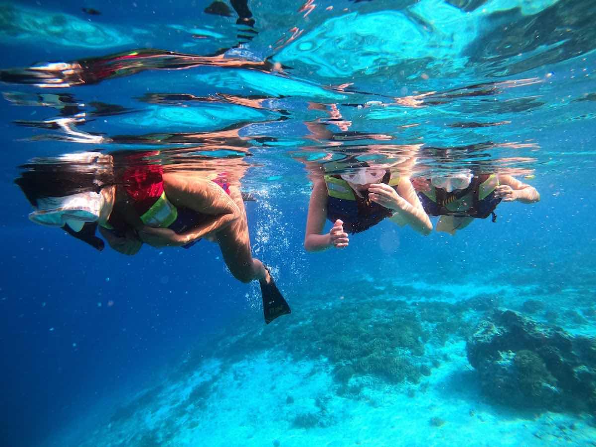 Snorkeling trip and tours photo 3
