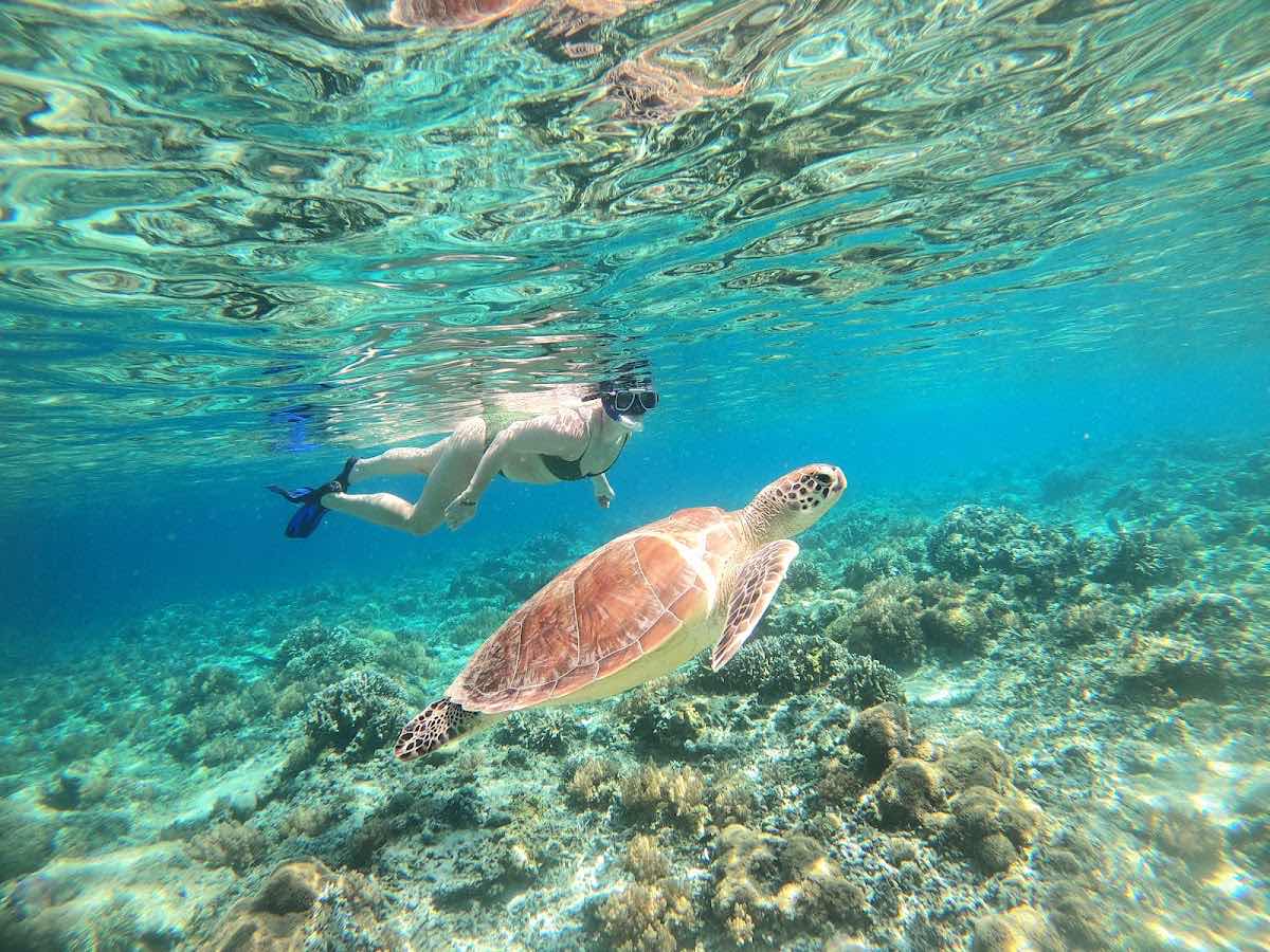 Snorkeling trip and tours photo 5