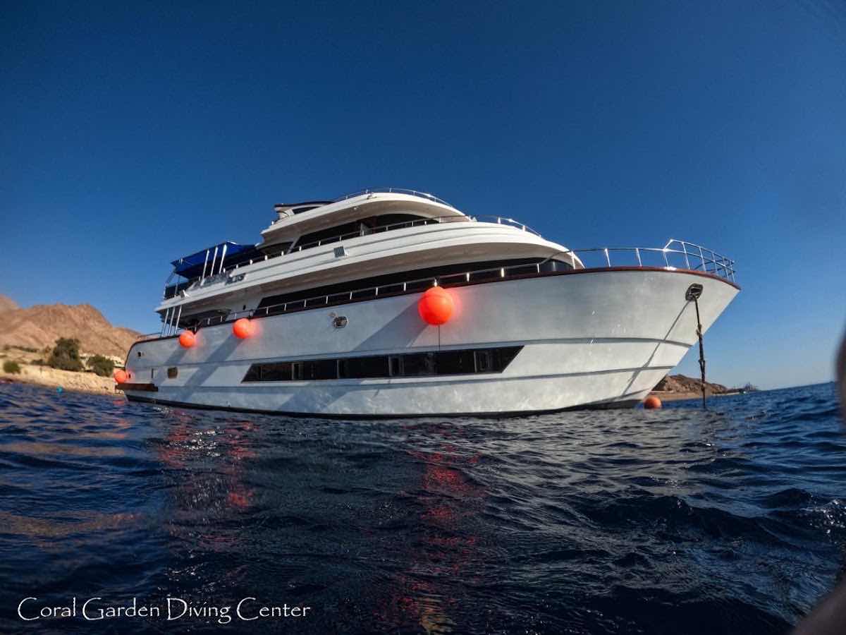 Red Coral Dive Center - Diving Aqaba photo 7