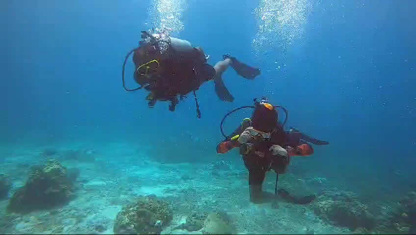Phuket Dive Tours - Scuba Diving & Snorkeling Chalong photo 4