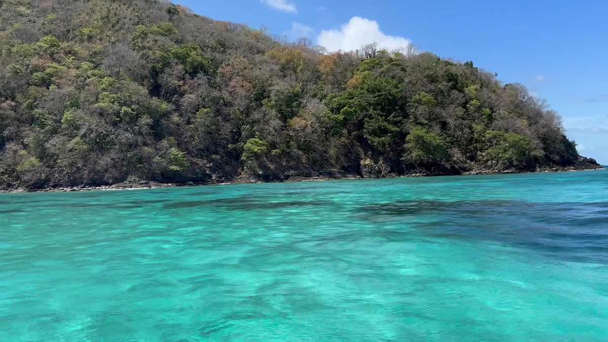 Tobago Dive Experience photo 3
