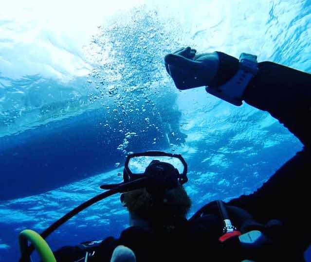 Tobago Dive Experience photo 5