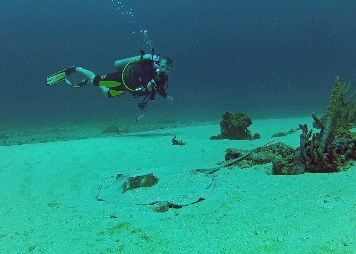 Tobago Dive Experience photo 9