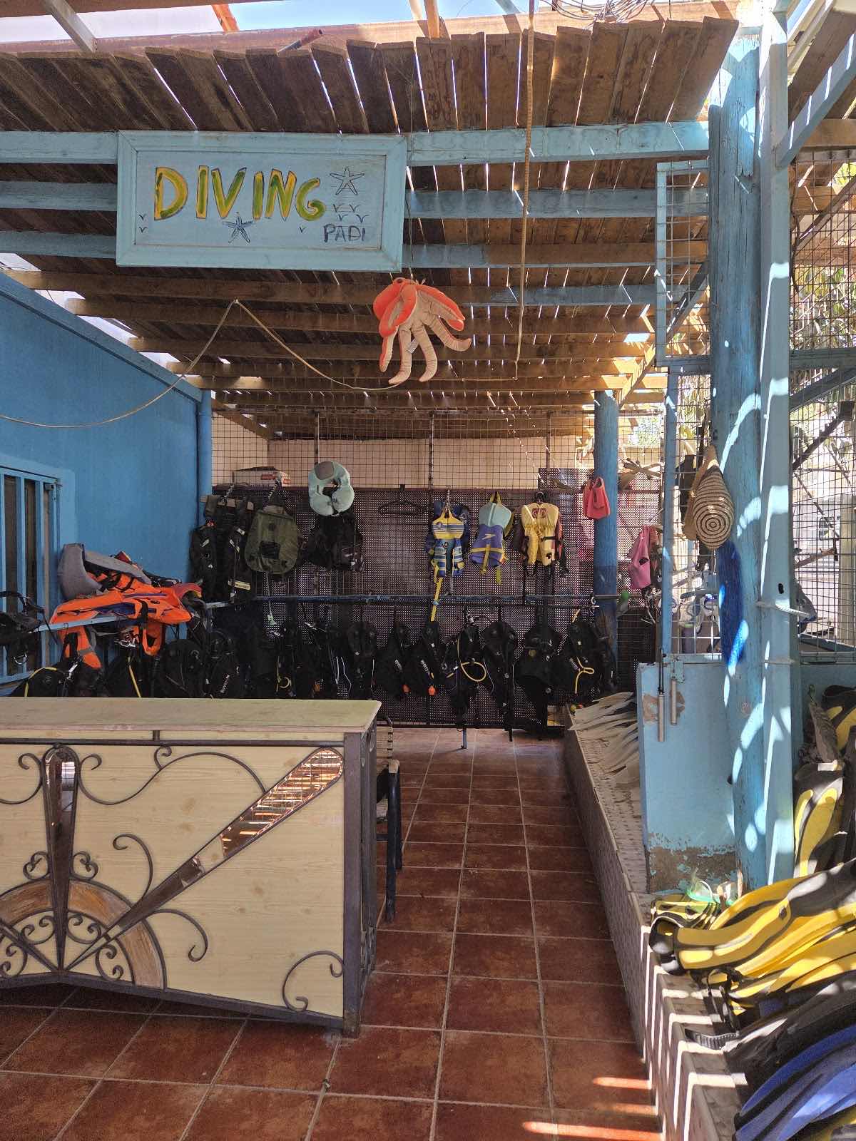 Aqaba Bedouin Dive / Captain Mahmmod Awartani photo 4