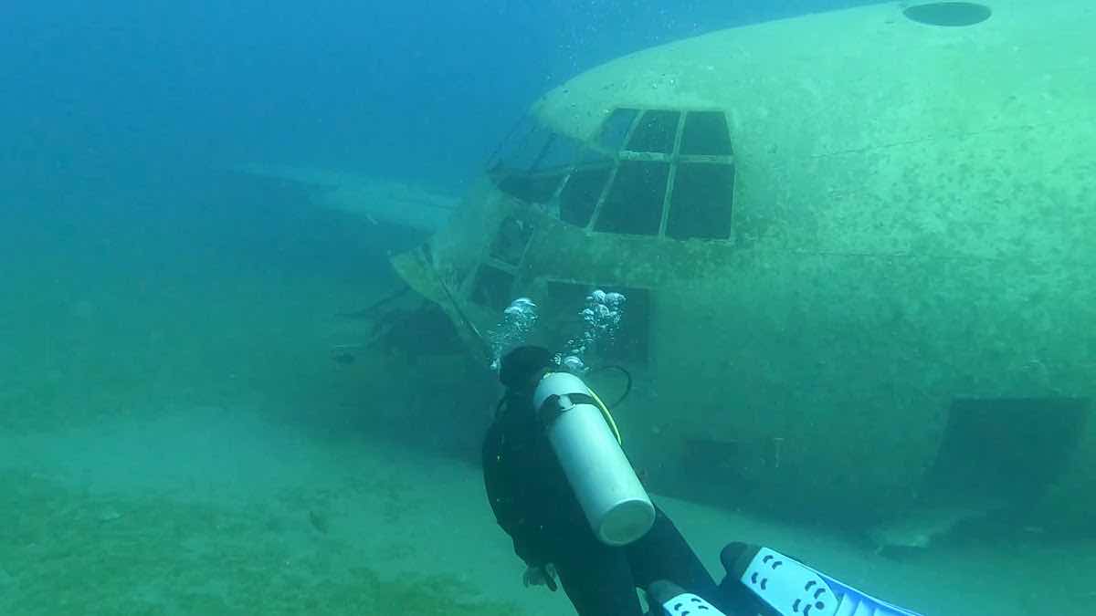 Aqaba Bedouin Dive / Captain Mahmmod Awartani photo 6