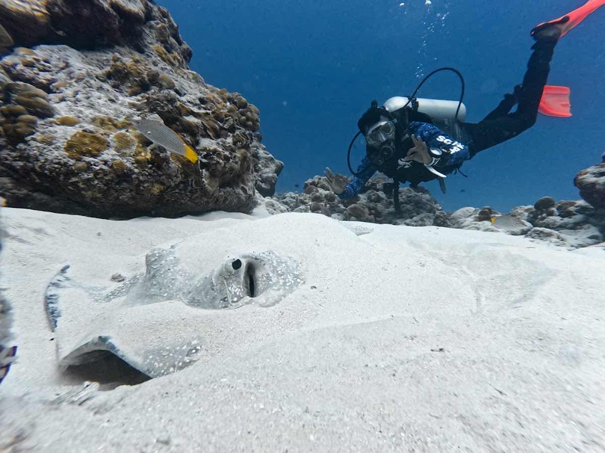 Ammathi Scuba photo 1