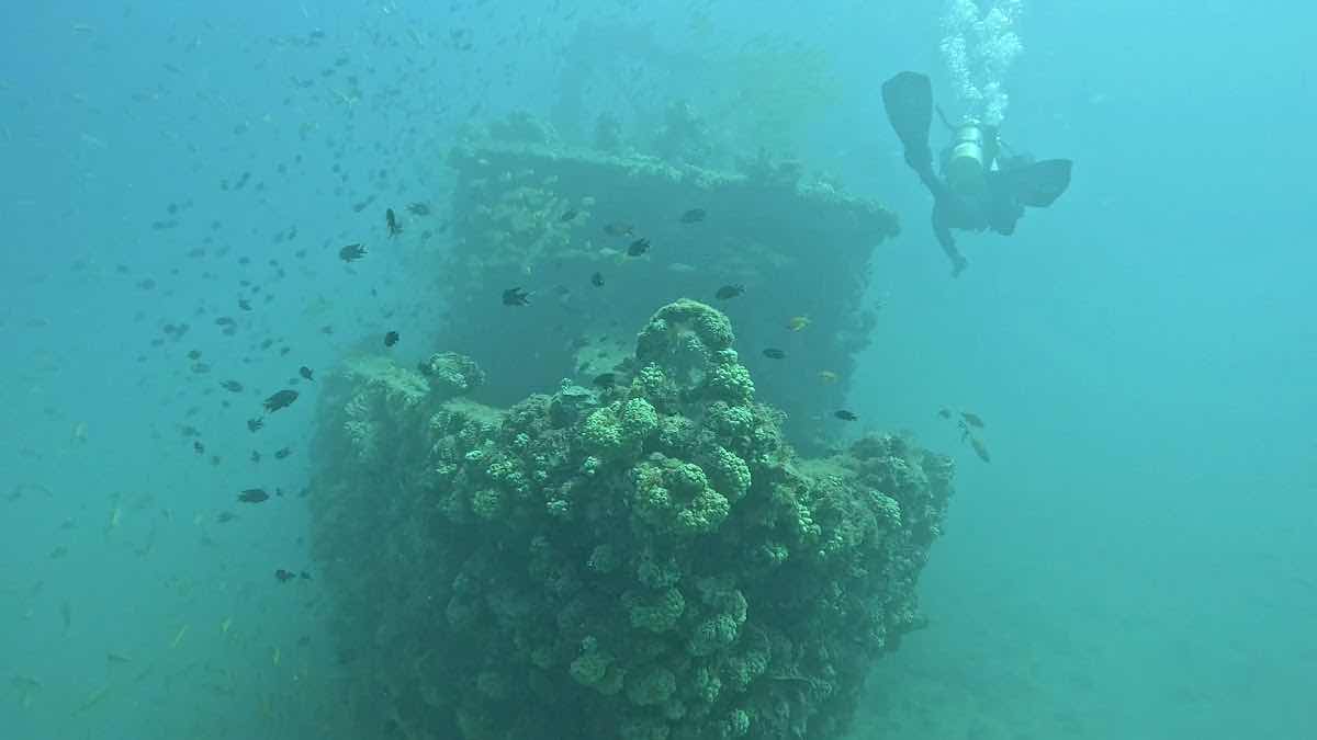 Our Ocean Diving photo 3