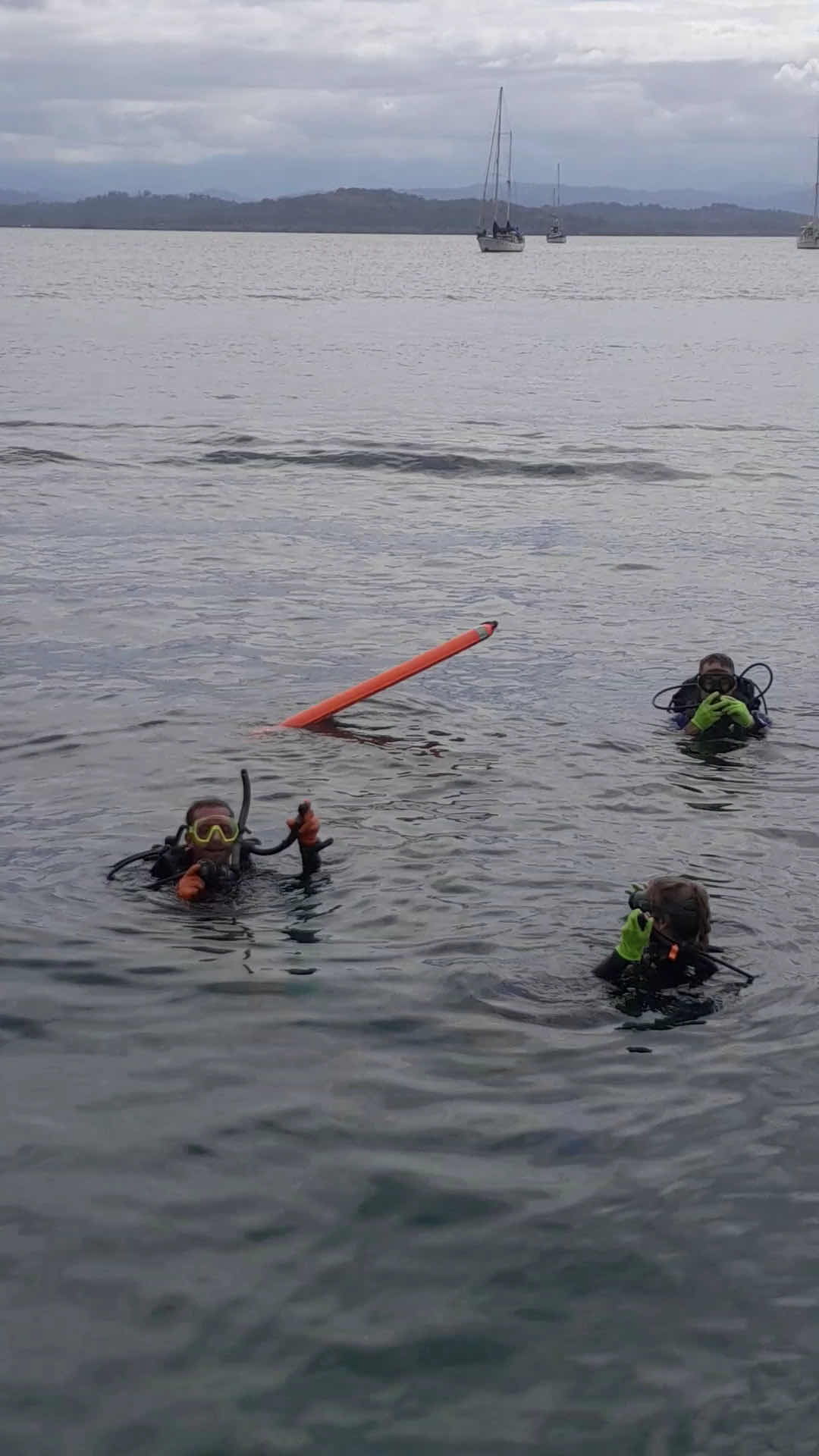 Bocas Dive Center photo 3