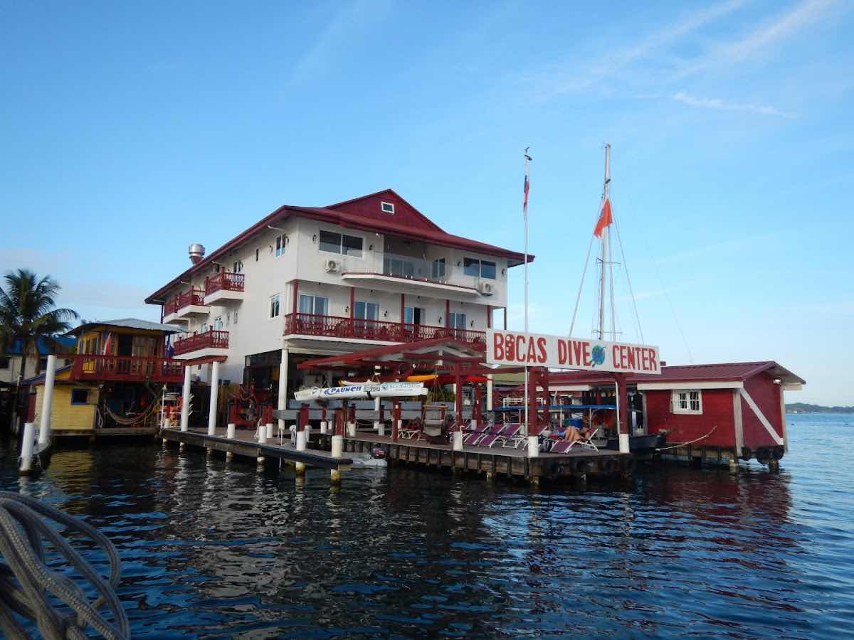 Bocas Dive Center photo 4