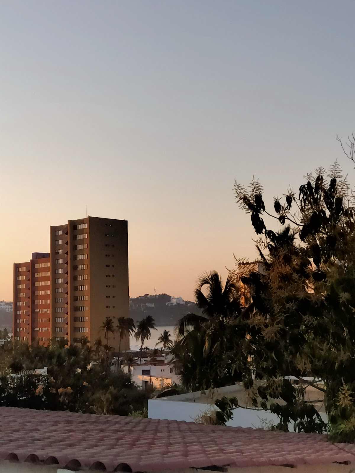 Manzanillo photo 1