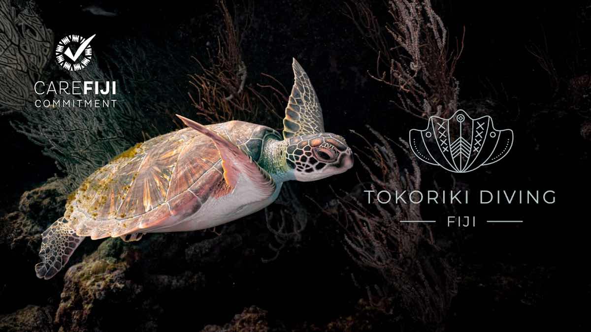 Tokoriki Diving photo 4